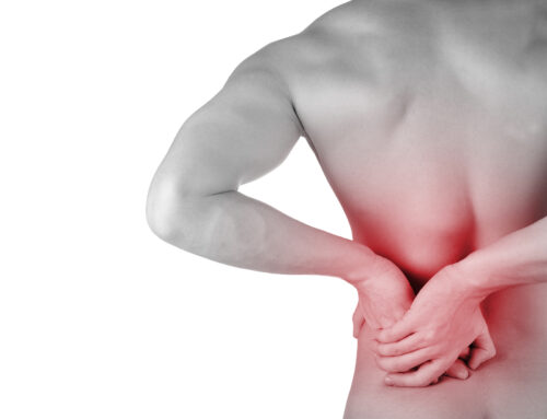 Exercises for Lower Back Pain